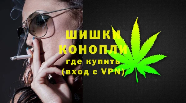 спайс Арсеньев